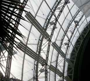 Die Wand über dem Südsee 