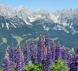 Wandern Ellmau am Wilden Kaiser