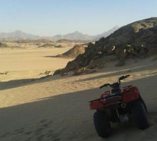 Ist das nicht ein Traum 