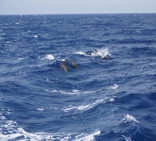 Ausflüge Marsa Alam Morgenland Reisen 