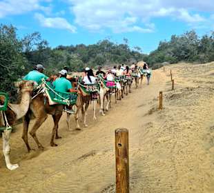 Dünen von Maspalomas
