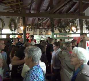 Themenbereich Schweiz