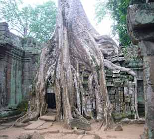 Ta Prohm - Der Dschungeltempel