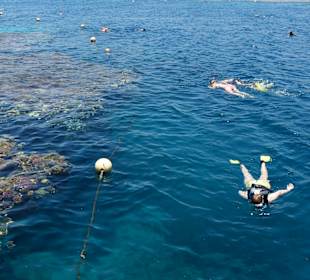 Schnorcheln Marsa Alam