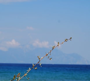 Berg Athos