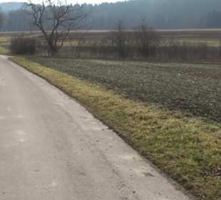 Rundwanderung durch den Rauhen Rammert Hemmendorf