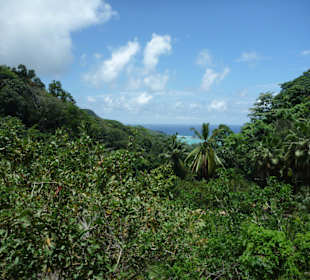 Mahé, Jardin du Roi