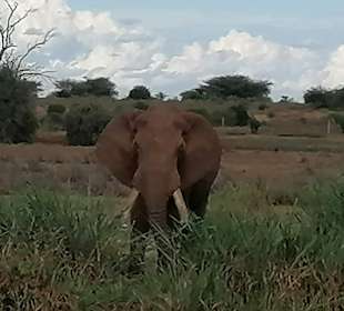 Im sichern Abstand wurden wir beobachtet 😄