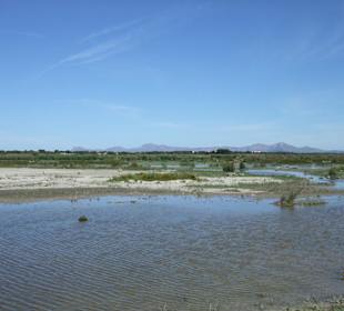 Naturpark S'Albufera