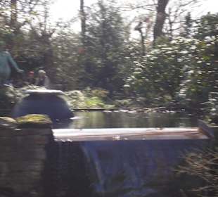 Wasserfall im Japanischen Garten