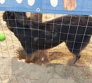 Spielplatz-Trainingsplatz