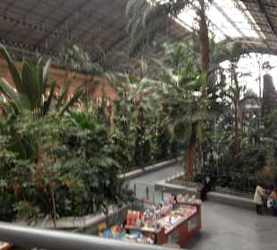 Bahnhof mit integriertem botanischen Garten