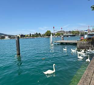 Zürich
