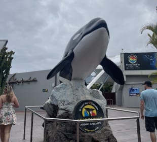Loro Parque 