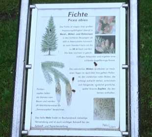 Baumlehrpfad Glacis Park