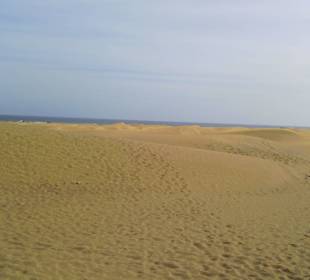 Die Duenen von Maspalomas