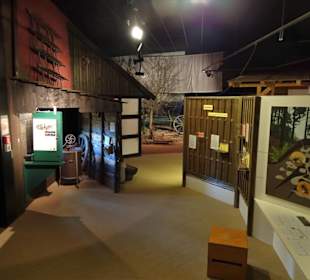 Ausstellung des Museum am Schölerberg