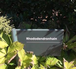 Paradies - Berggarten