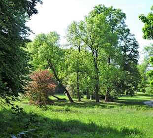 Eindrücke aus dem Hinüberschen Garten