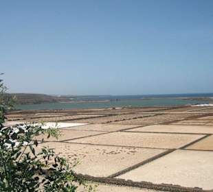 Las Salinas de Janubio