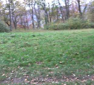 Wandern um die Rauber Ruine