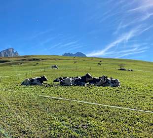 Wandern Cornedo all'Isarco / Karneid