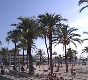 Strand mit Blick auf den kleinen Hafen