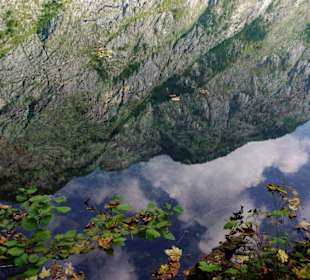 Spiegelung - Obersee
