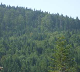 Parcul Natural Apuseni