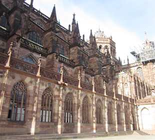 Altstadt Straßburg im Frühling