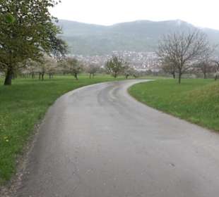 Kirschenweg