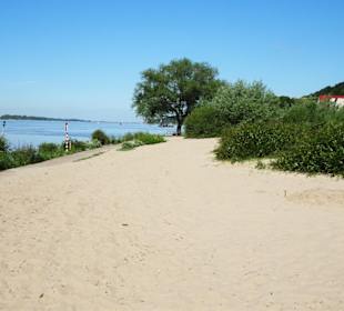 Blick über den Strand von Blankenese