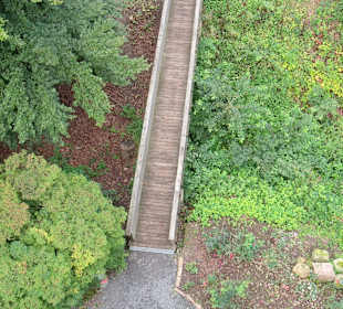 Brücke