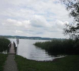 Insel Reichenau Hochwasser