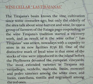 Bodega Las Tirajanas