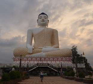 Buddha in Abendstimmung