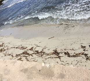 Strand Cala Millor