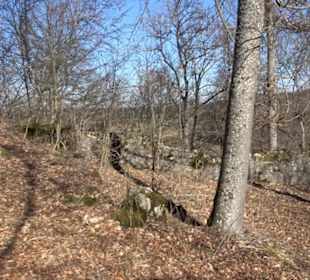 Burgruine Hohenstein