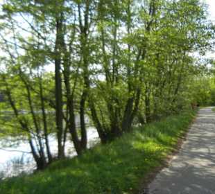 Naturschutzgebiet Boberger Niederung