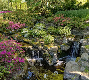 Keukenhof