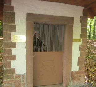 Auf dem Weg zur Madenburg