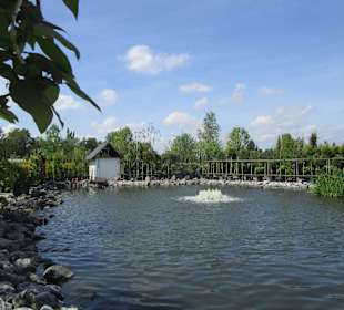 Peterhof-Pflanzen in Hanhofen