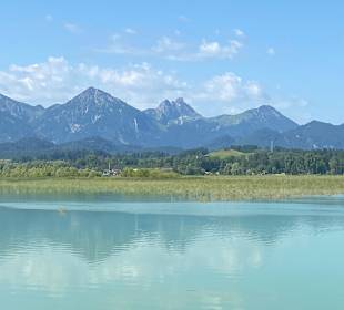 Forggensee