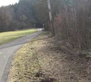 Rundwanderung durch den Rauhen Rammert Hemmendorf