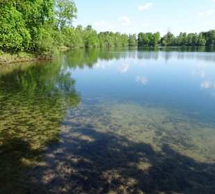 Der Ellisee im Sandtrockenrasen von Achim