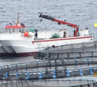 Arbeiten an der Fischzucht