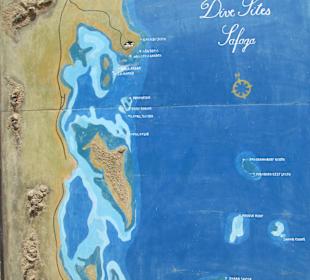 ORCA Dive Club Soma Bay 