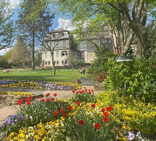 Schlosspark Siegen