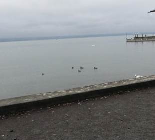 Kressbronner Lesepavillon