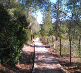 Wanderweg Paguera-Capdella